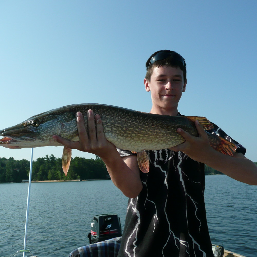 The-34-inch-Pike