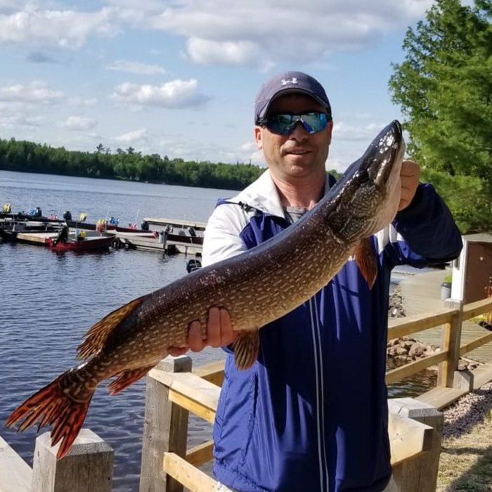 Pike caught in Lake Nipissing