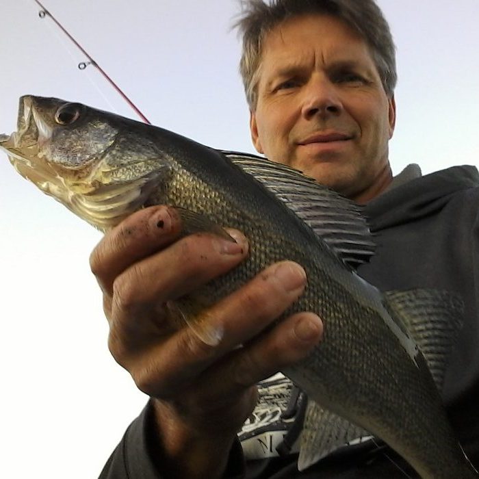 Walleye fishing Callander Bay