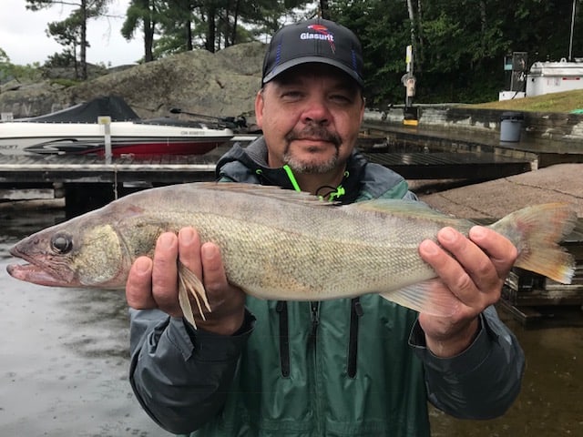 Jamie's Walleye caught on Lake Nipissing